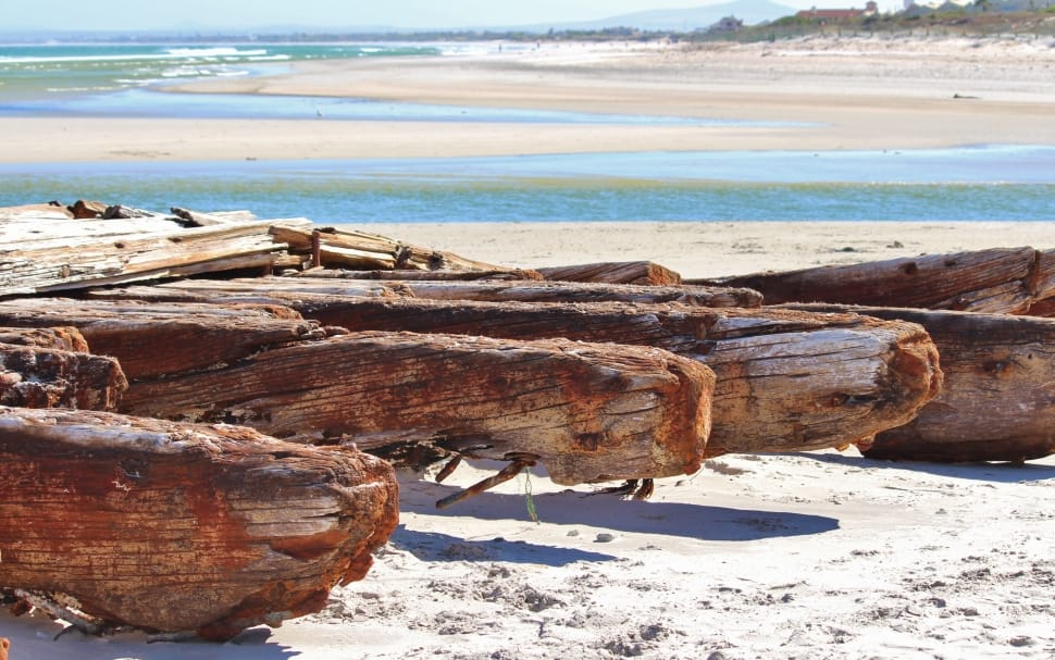 shallow focus photography of brown firewood on seashore during daytime preview