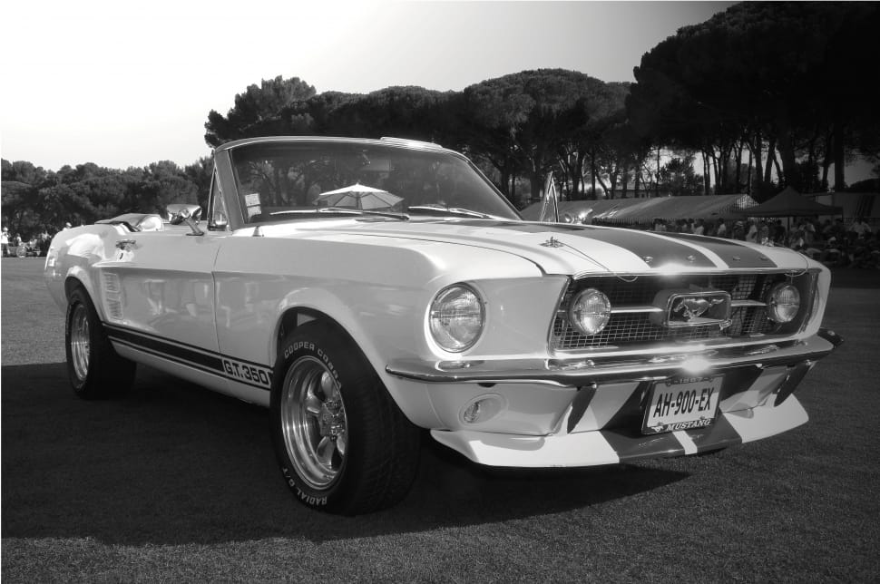 grayscale photo of Ford Mustang GT 350 convertible preview