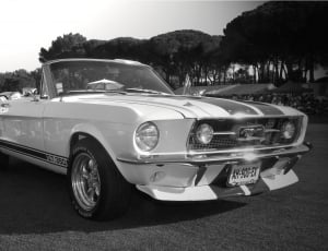 grayscale photo of Ford Mustang GT 350 convertible thumbnail