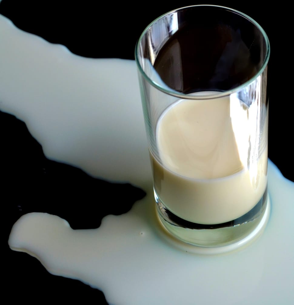 Milk, Glass, White, Sheds, Drink, drinking glass, food and drink preview
