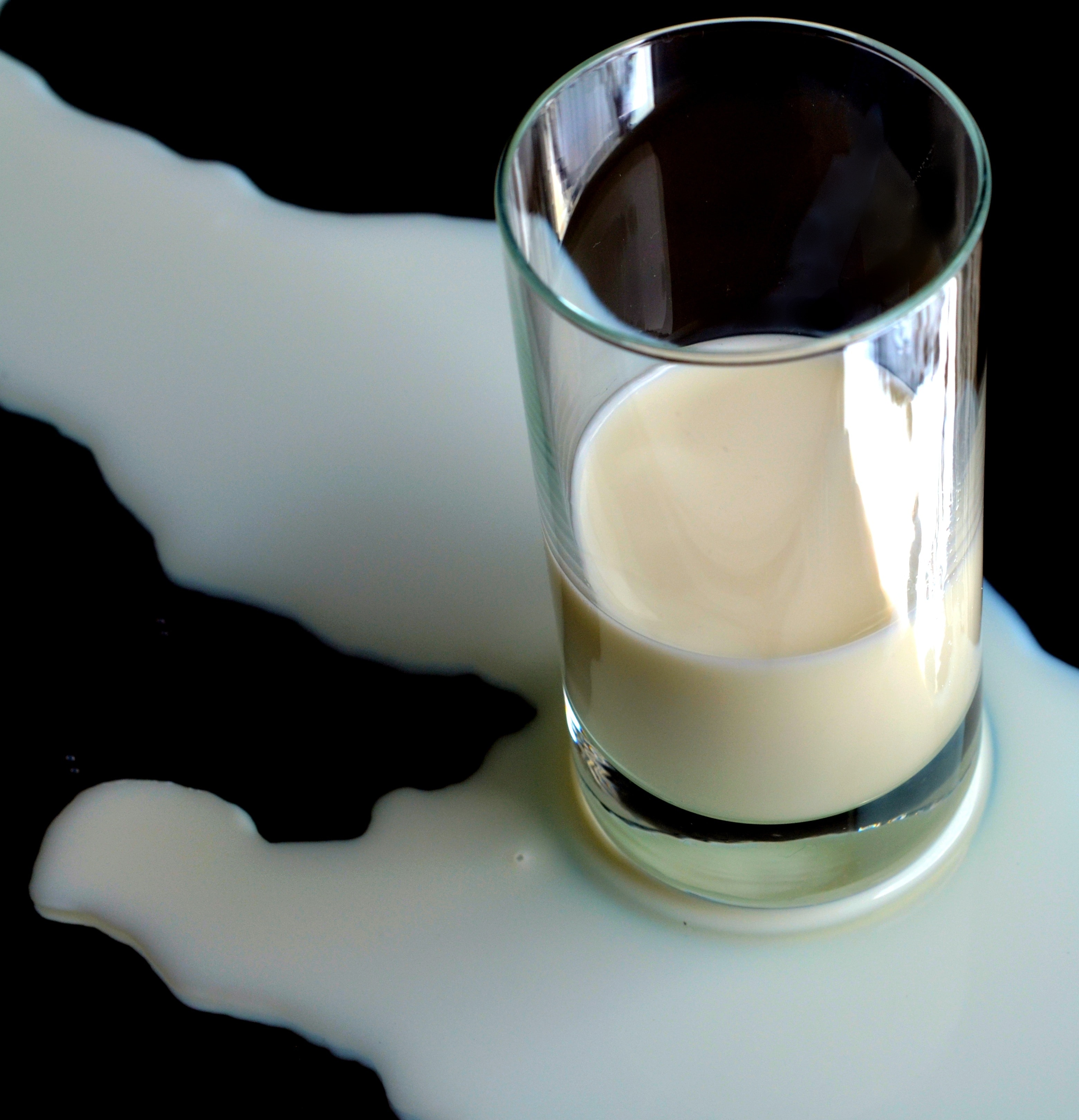 Milk, Glass, White, Sheds, Drink, drinking glass, food and drink