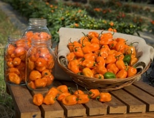 Produce, Table, Habanero Peppers, Food, vegetable, food and drink thumbnail