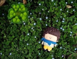 man wearing grey and yellow top and bottom doll on top of green plant thumbnail
