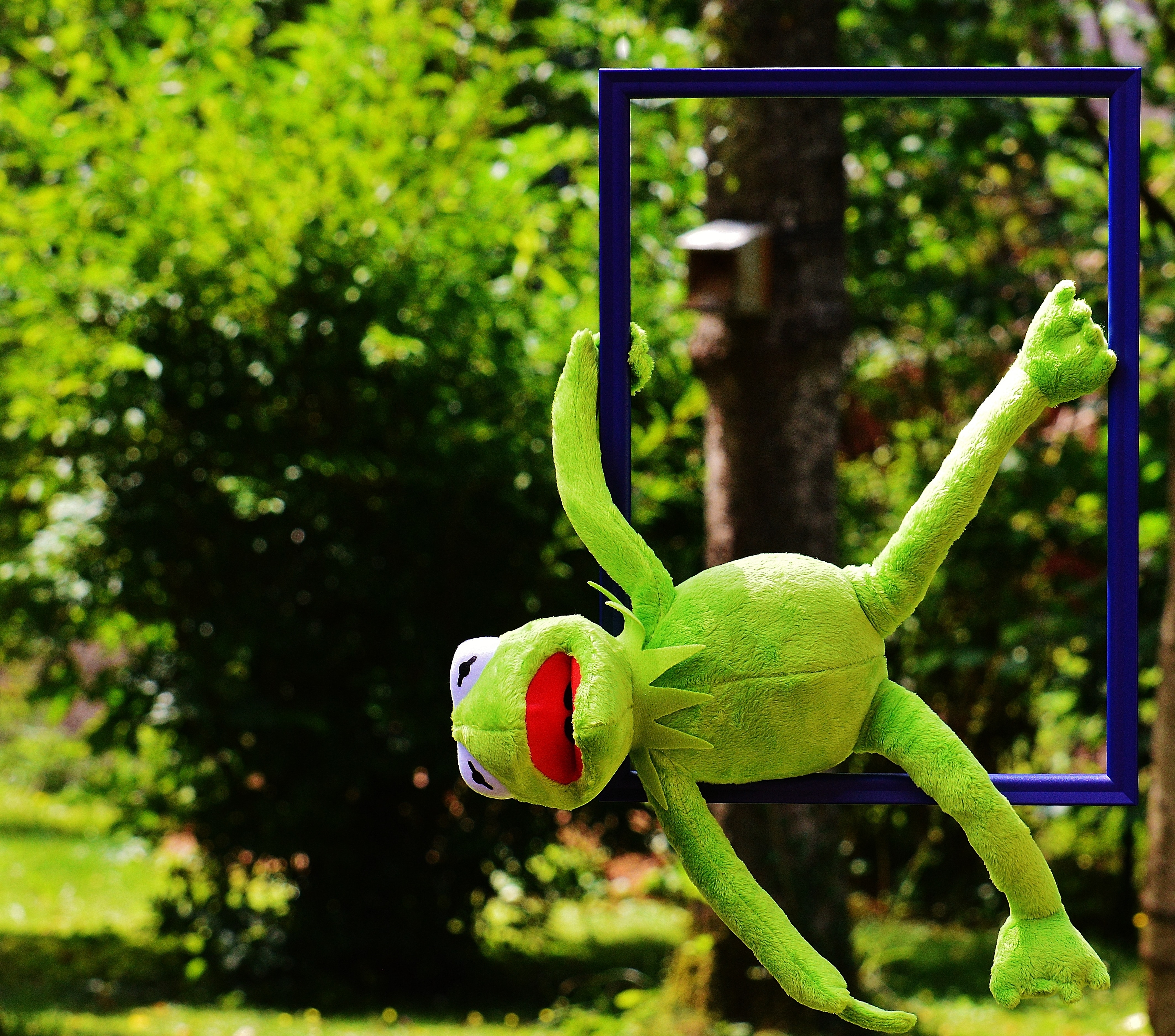 kermit the frog plush toy free image