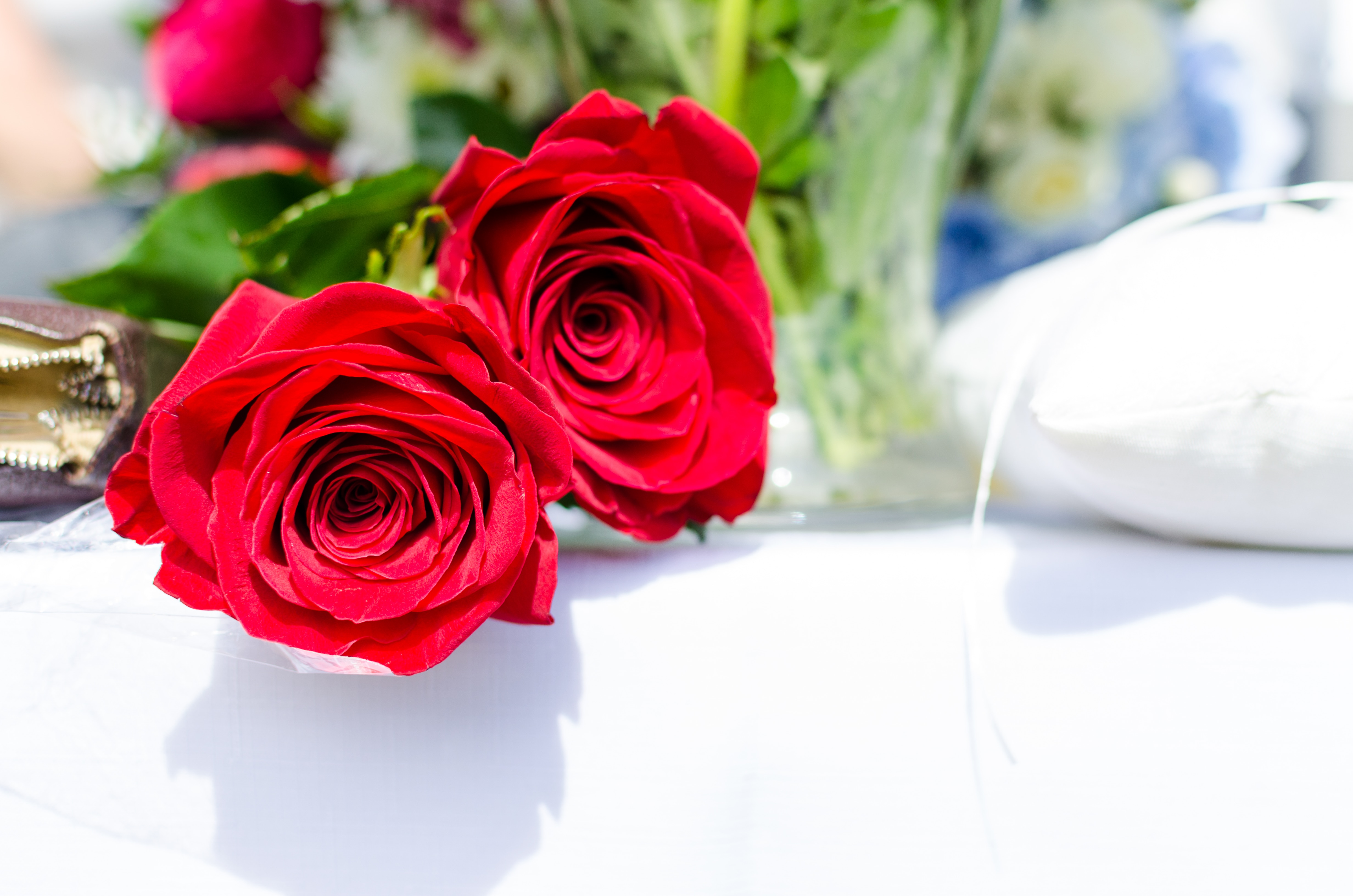 two red roses on white surface