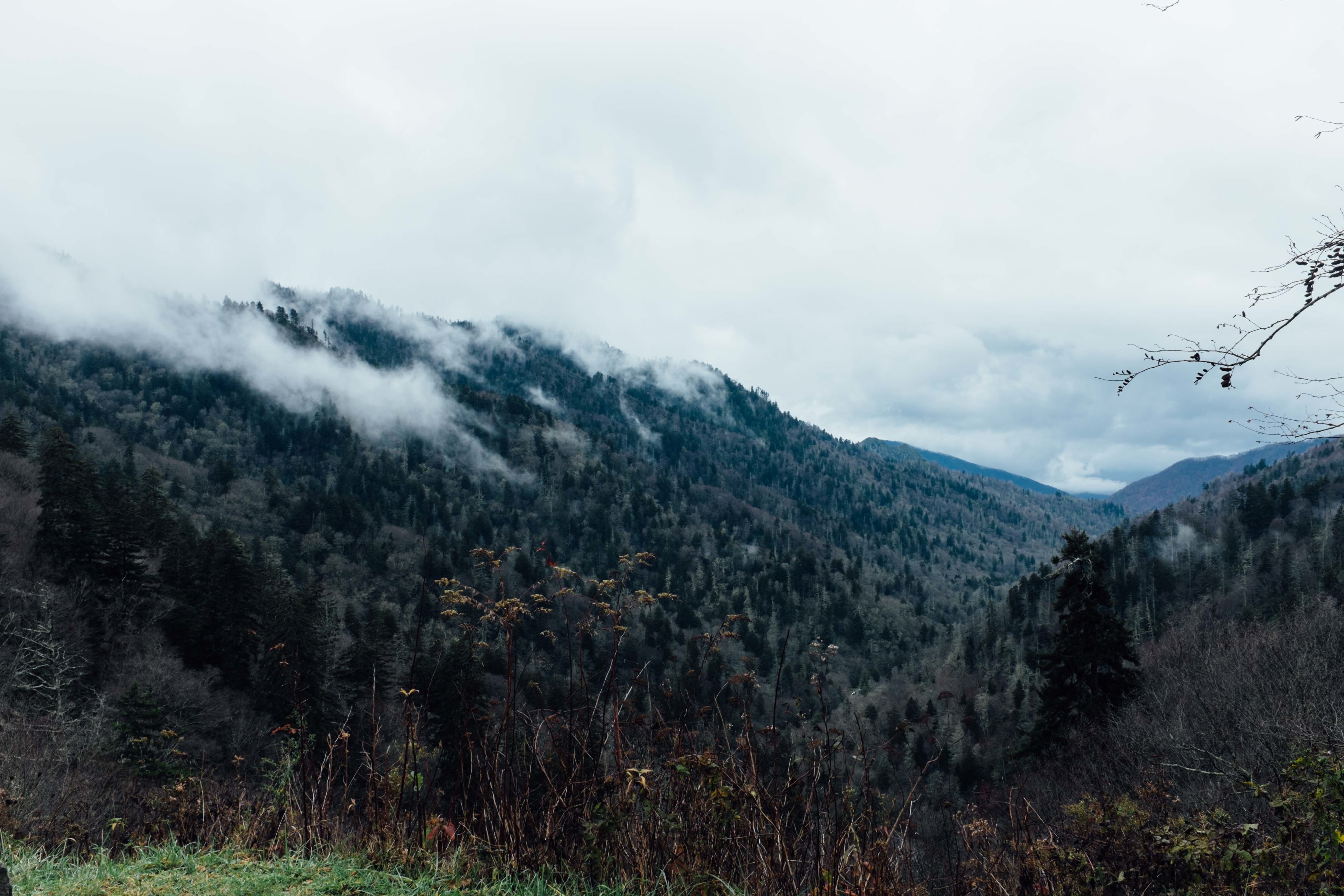 2560x1440 wallpaper | green mountains | Peakpx