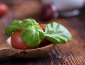 brown wooden spoon with red tomato fruit and green leaf thumbnail
