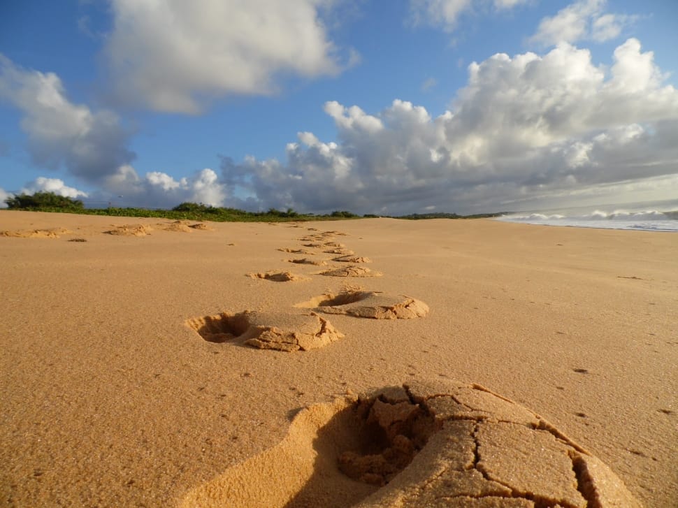 footprints on the sand preview