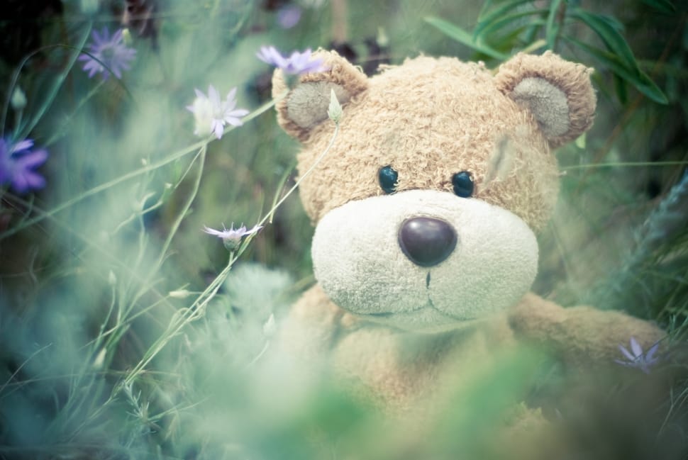 closeup photo of brown and white teddy bear surrounded by green leaf plants preview