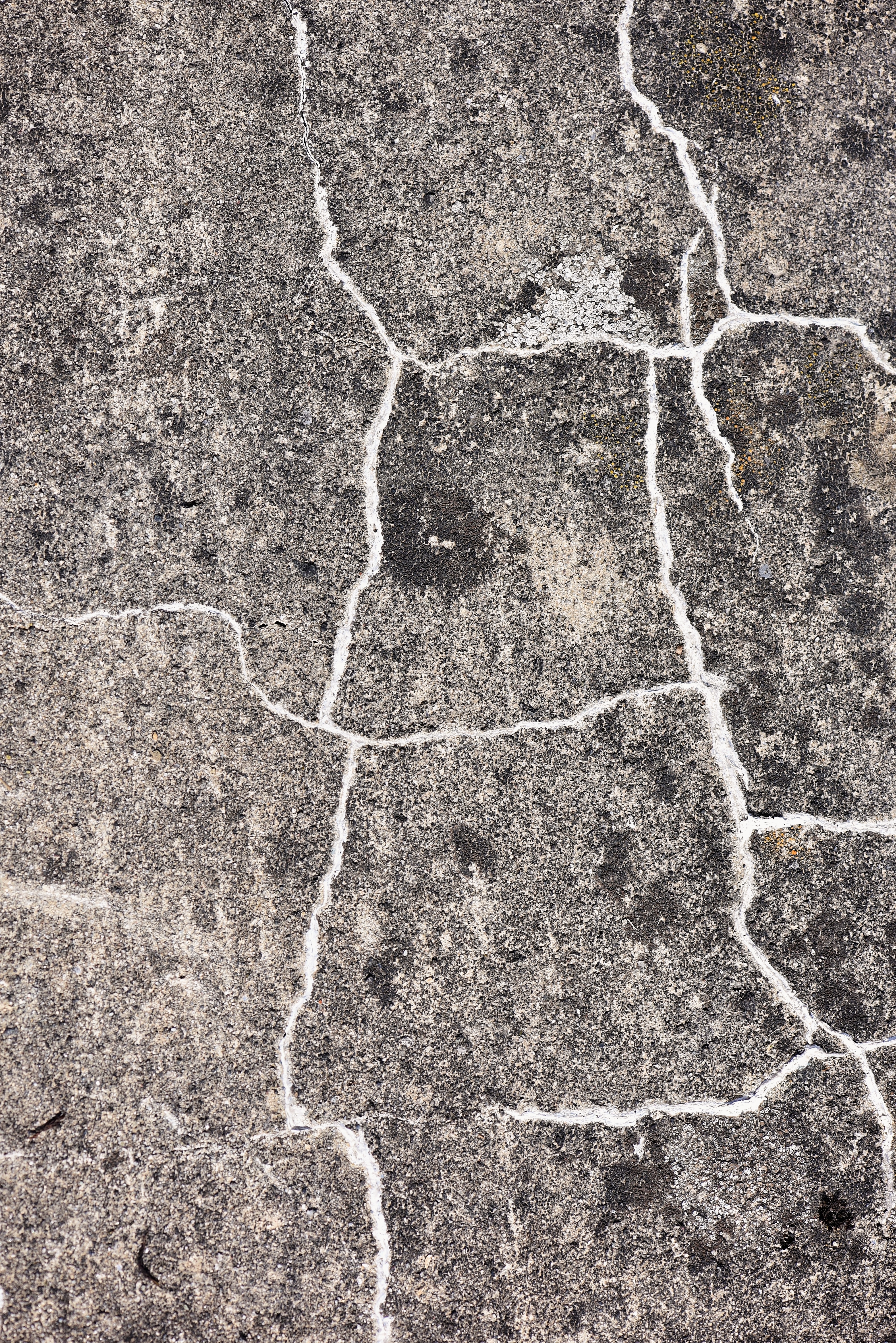 Геологическая трещина. Трещины на Камне. Каменные трещины. Текстура камня с трещинами. Трещина в стене.
