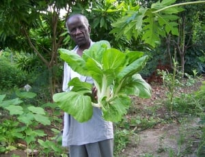 Garden, Elderly, Aged, Elderly People, one person, adults only thumbnail