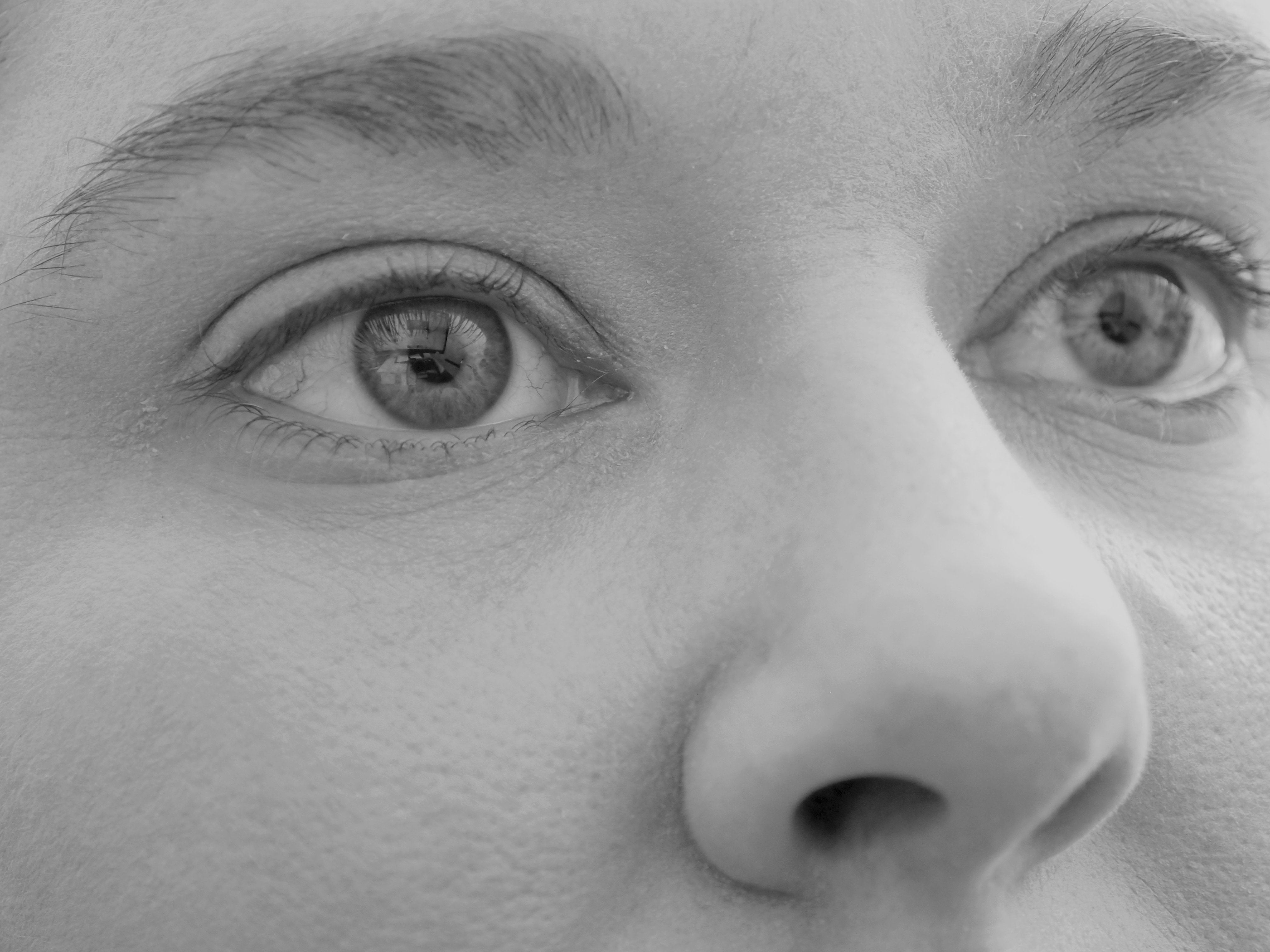 grayscale photo of woman's eyes and nose