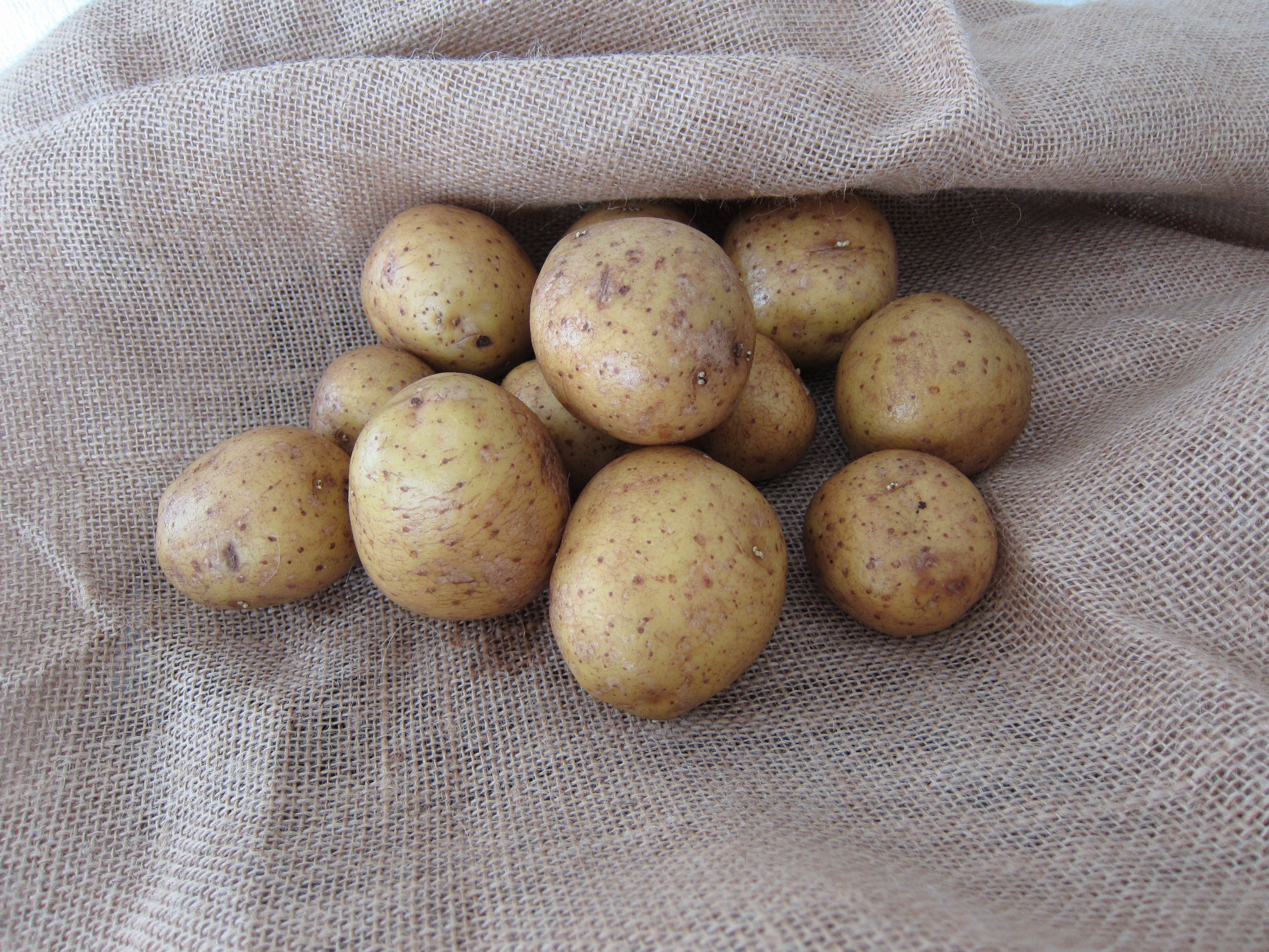 brown potatoes