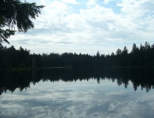 body of water with refection of trees thumbnail
