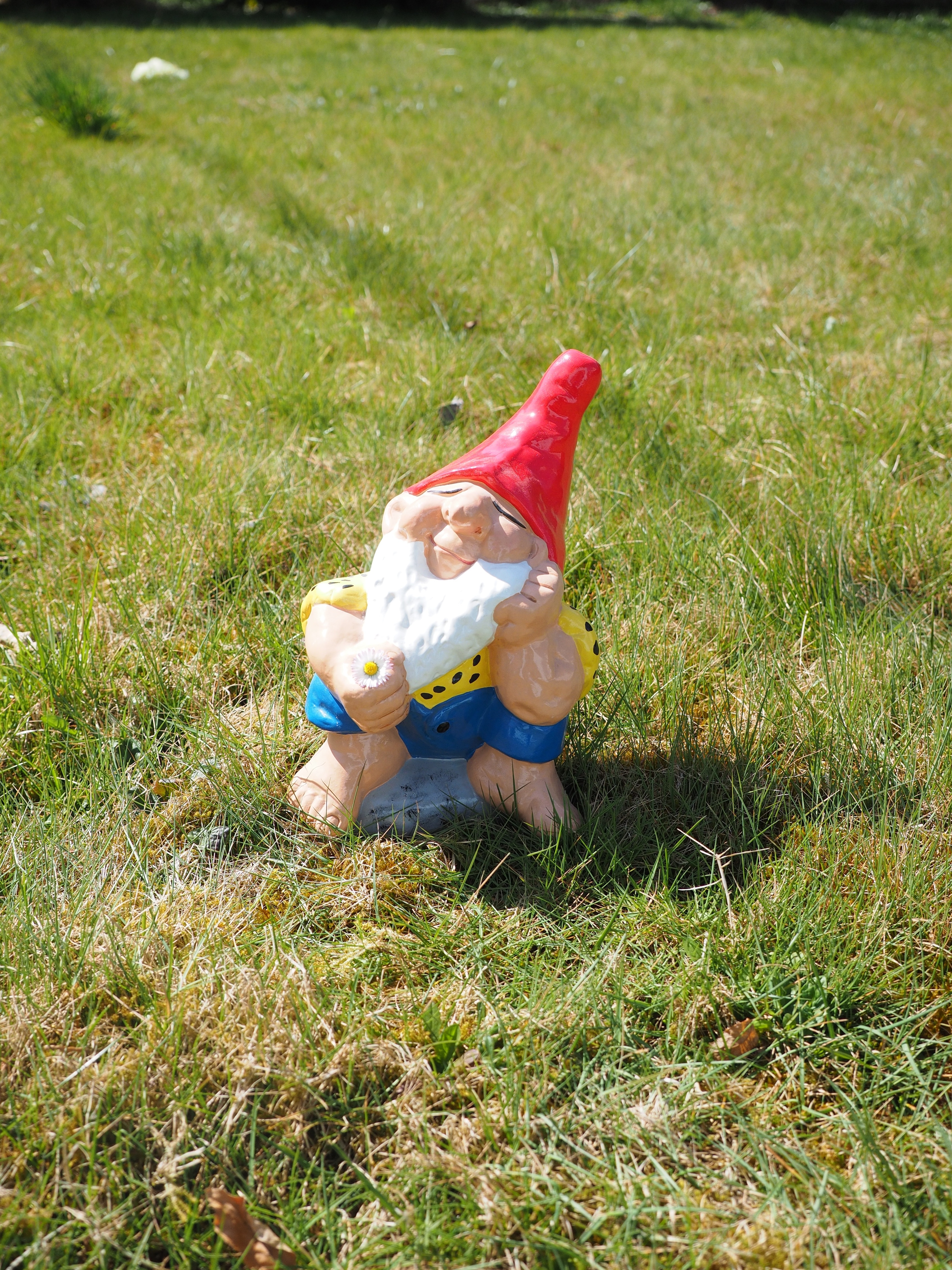 Dwarf, Garden Gnome, Satisfied, Blessed, grass, childhood