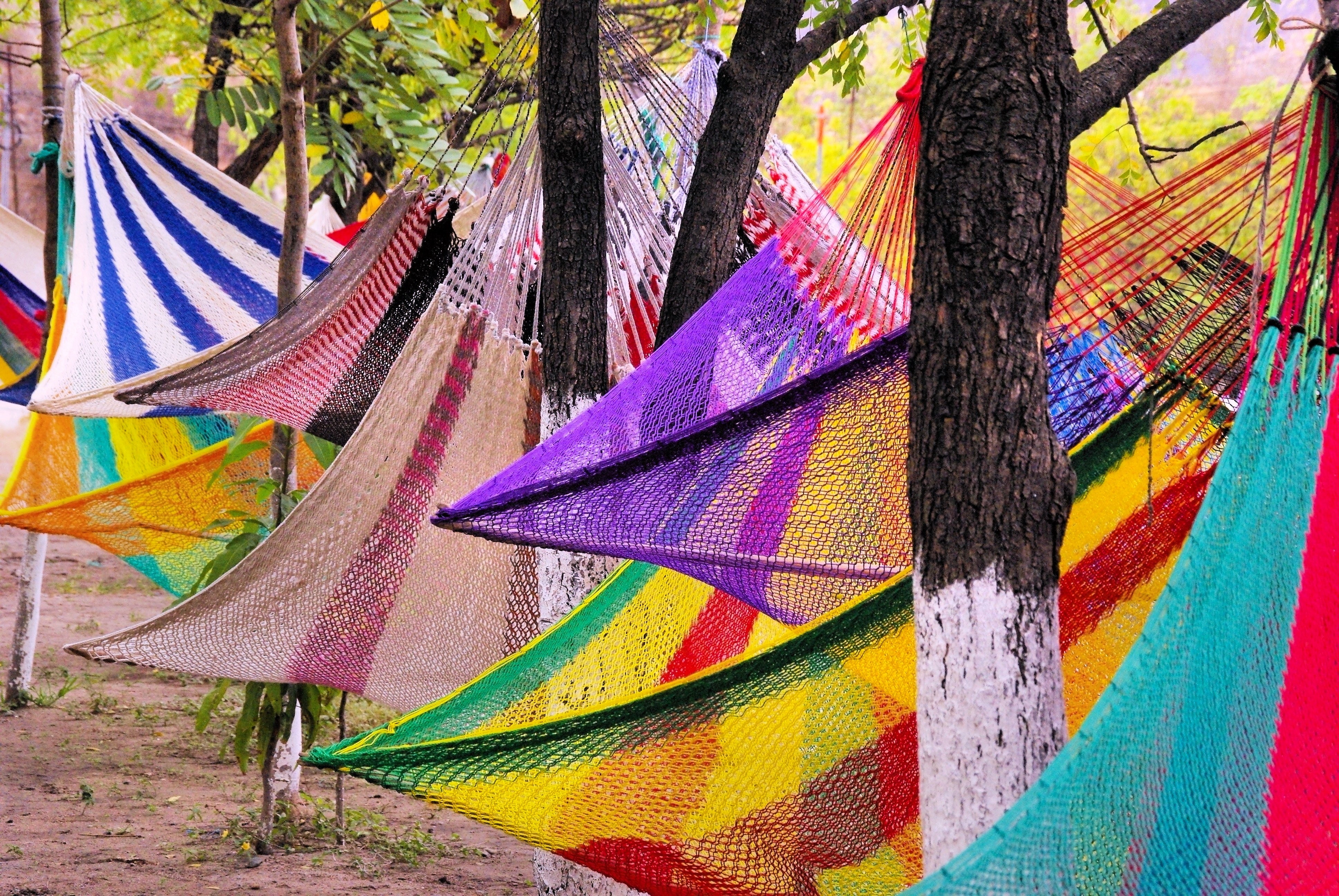 Hammocks, Guatemala, Market, Color, multi colored, tree
