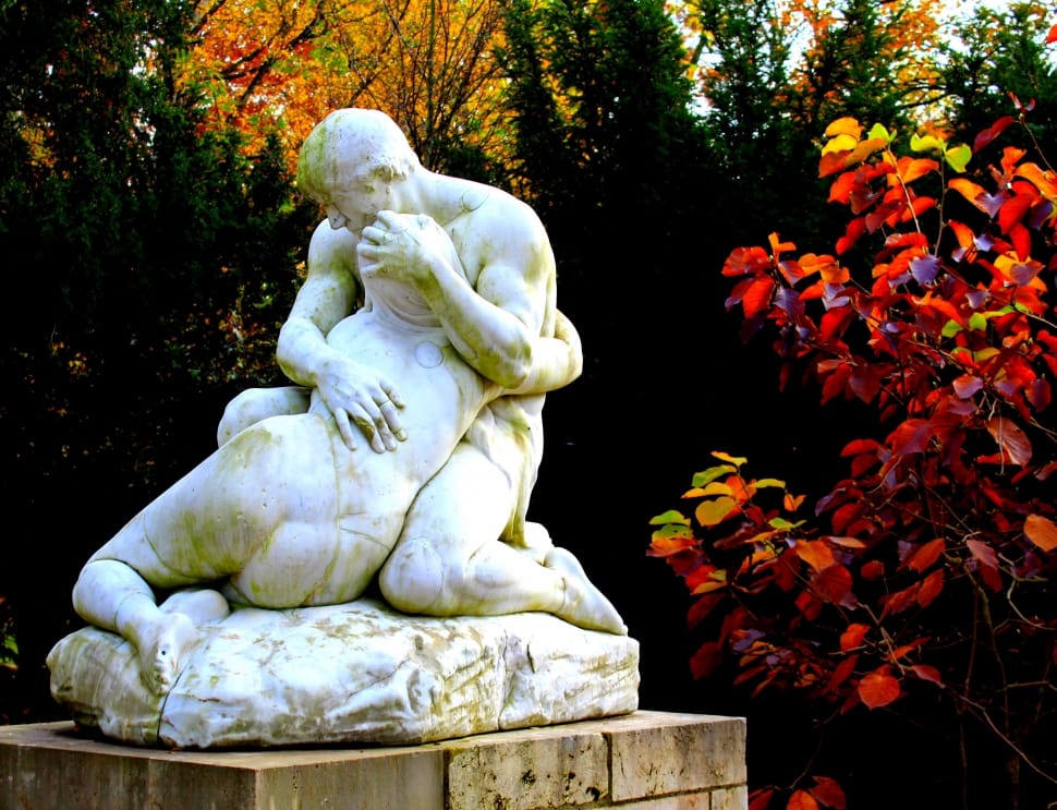 coupe statue near on red-and-green leaf plant on daytime preview