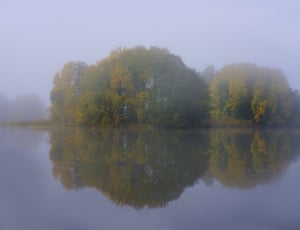 trees surrounded by body of water during fog weather thumbnail