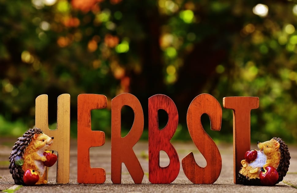brown wooden herbst text table decoration preview