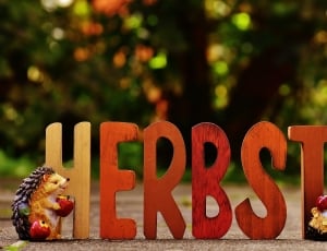brown wooden herbst text table decoration thumbnail