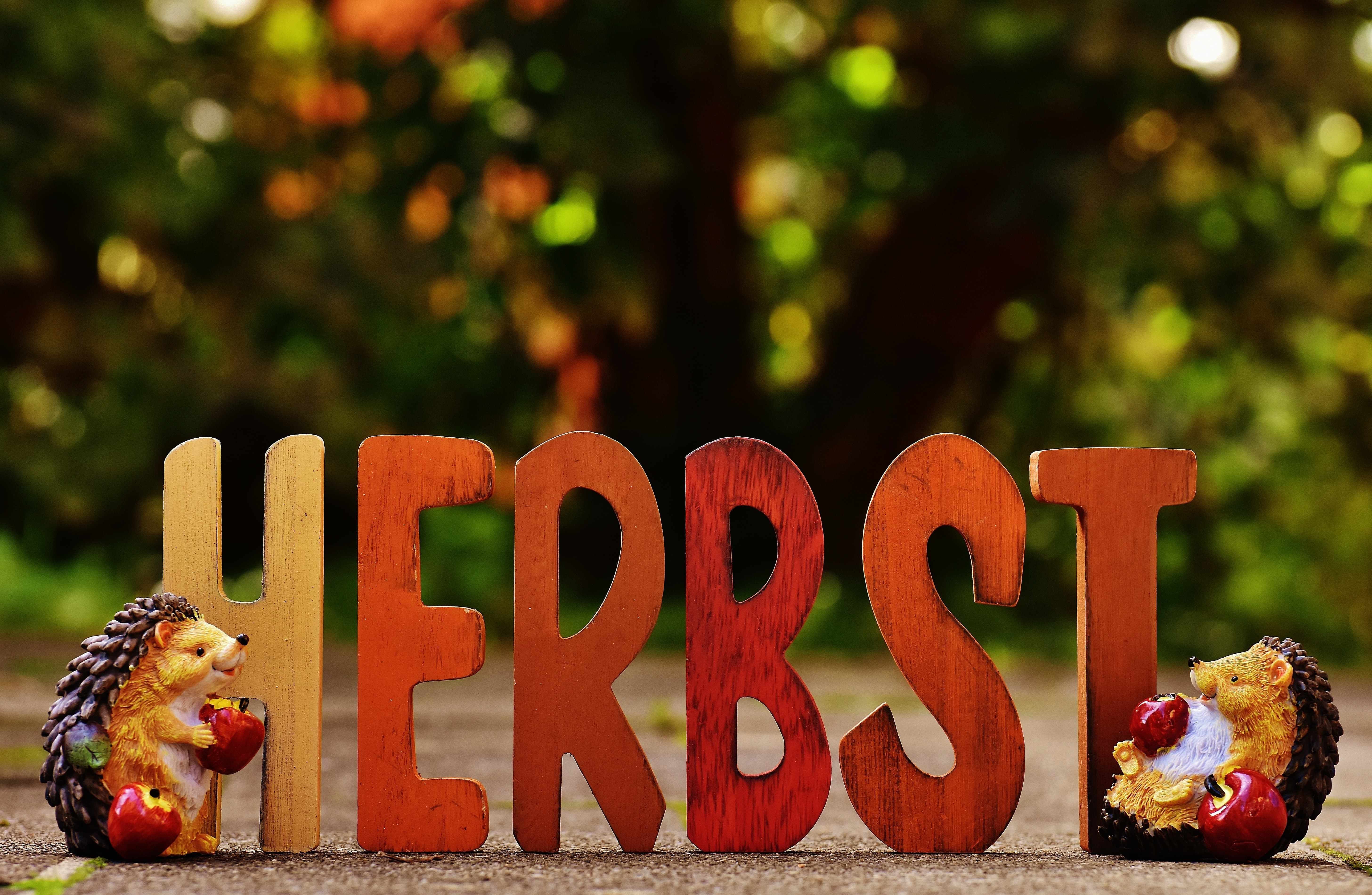 brown wooden herbst text table decoration