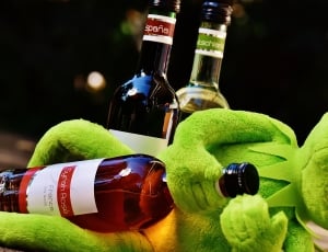 Frog, Kermit, Alcohol, Wine, Drink, bottle, wine bottle thumbnail