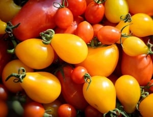 red and yellow tomato lot thumbnail