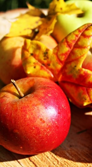 apple fruit lot thumbnail