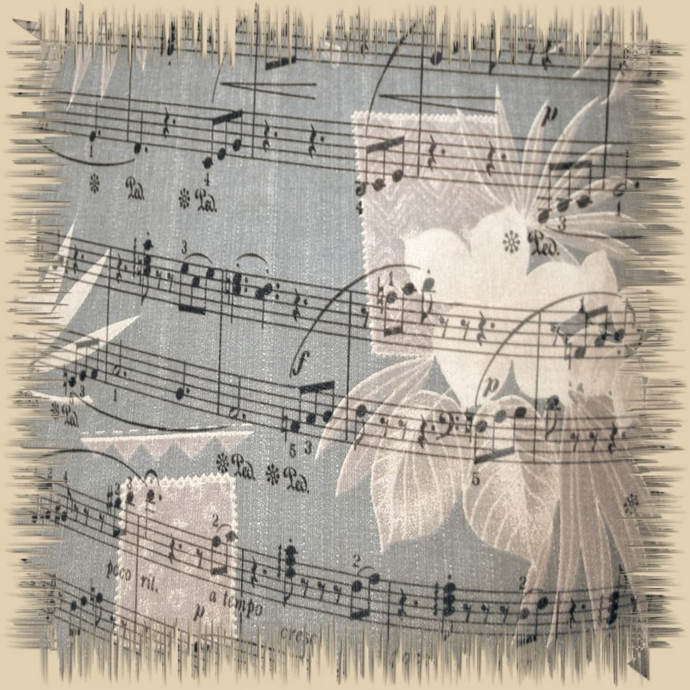 grey and black musical note print textile preview