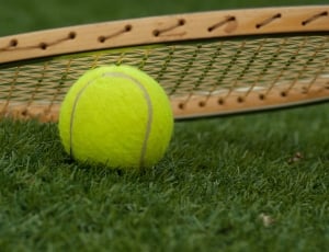 Tennis, Racket, Sport, Tennis Ball, sport, tennis thumbnail