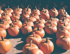 pumpkins thumbnail