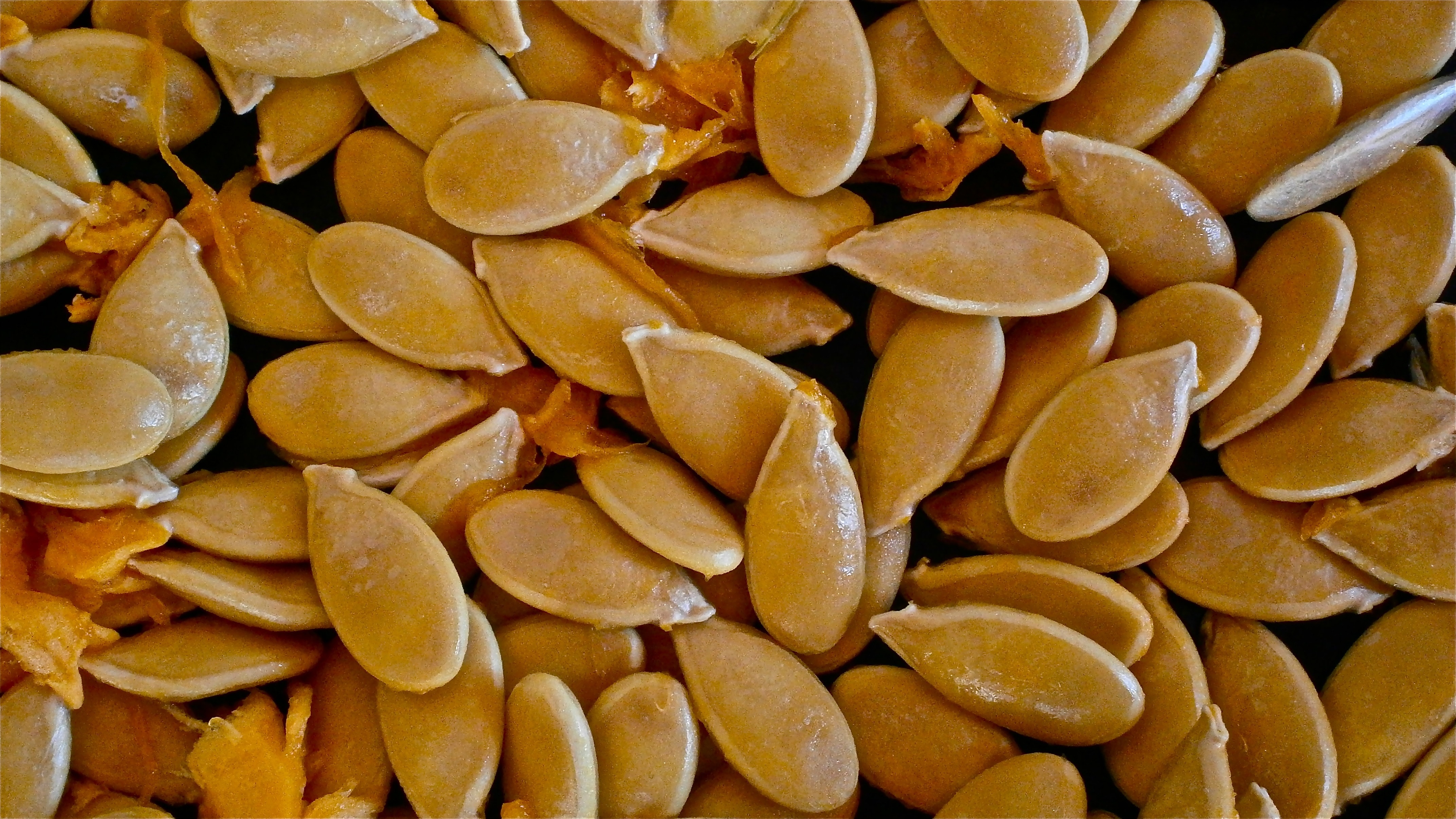 brown seeds