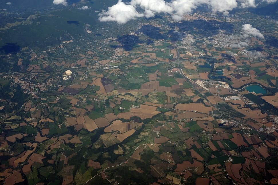 high angle view of green grass and brown dirt preview