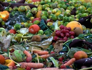 Frozen, Corrupted, Vegetables, food and drink, vegetable thumbnail