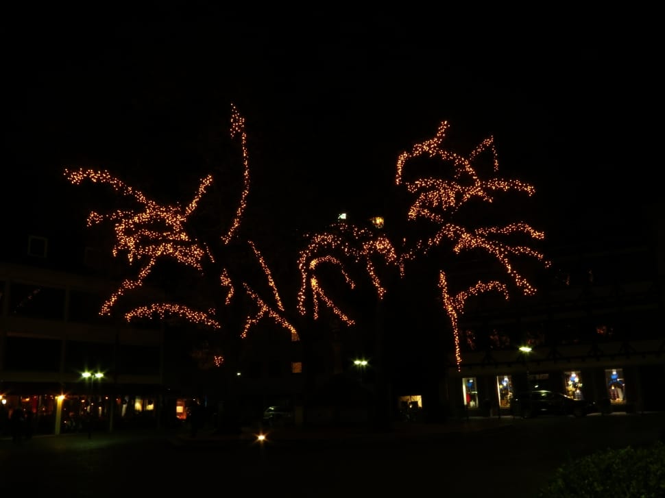 Tree, Deco, Decoration, Lights, night, firework display preview