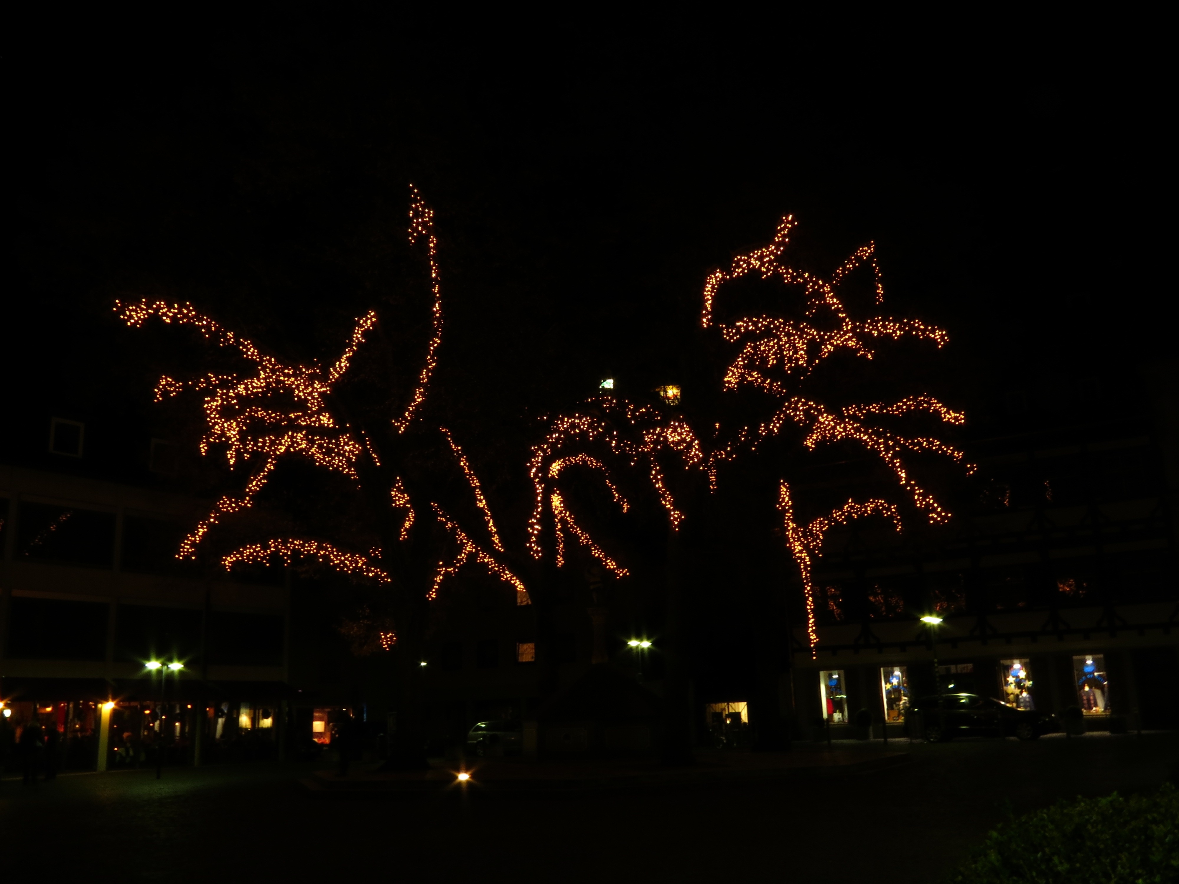 Tree, Deco, Decoration, Lights, night, firework display
