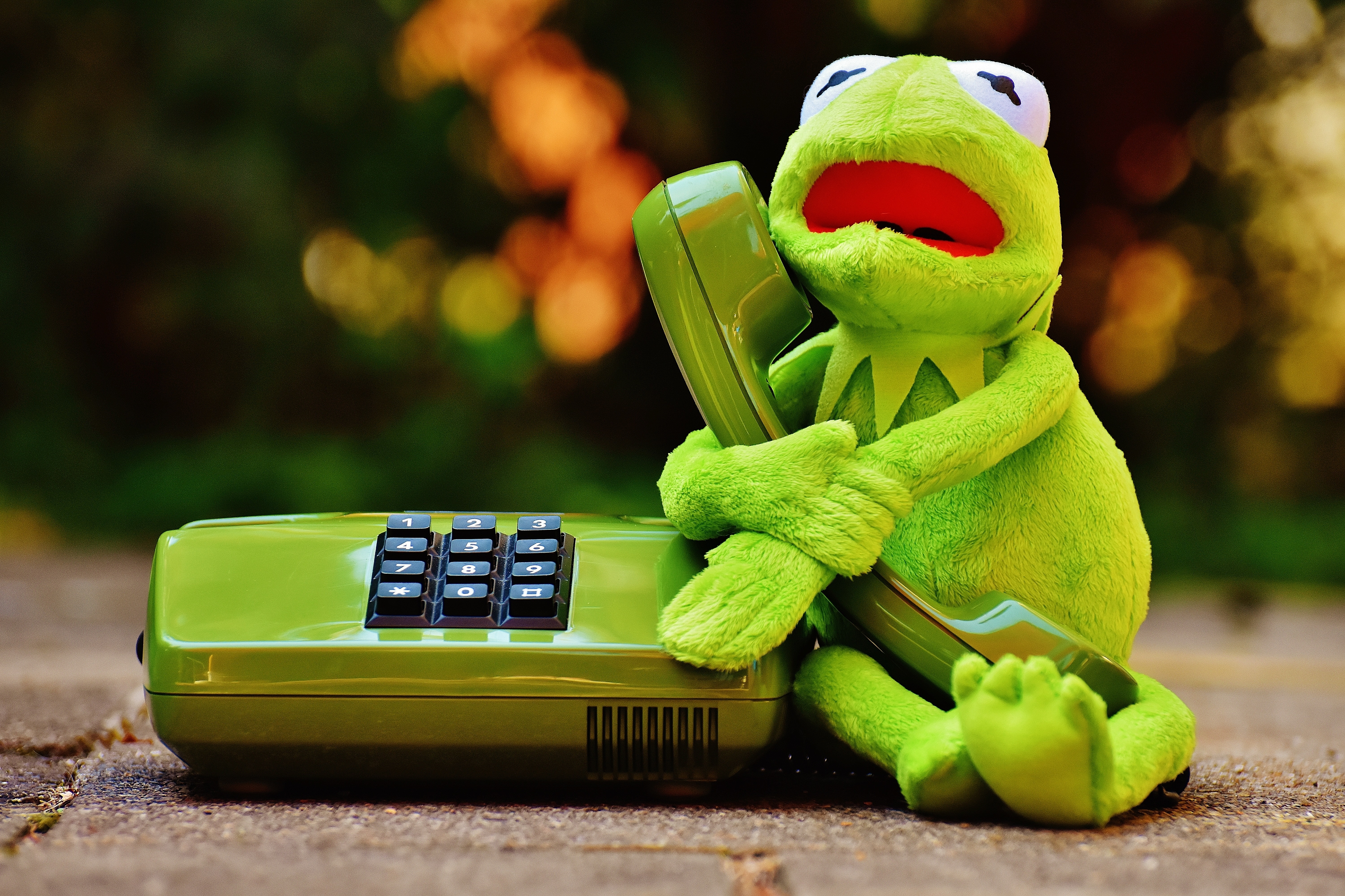 Картинки на телефон прикольные. Кермит с телефоном. Зеленый телефон. Лягушонок с телефоном. Смешной телефон.