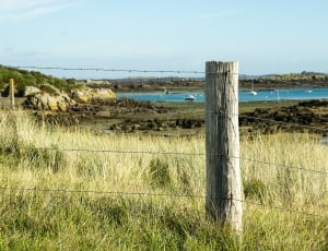 France, Chausey Island, Normandy, grass, field thumbnail