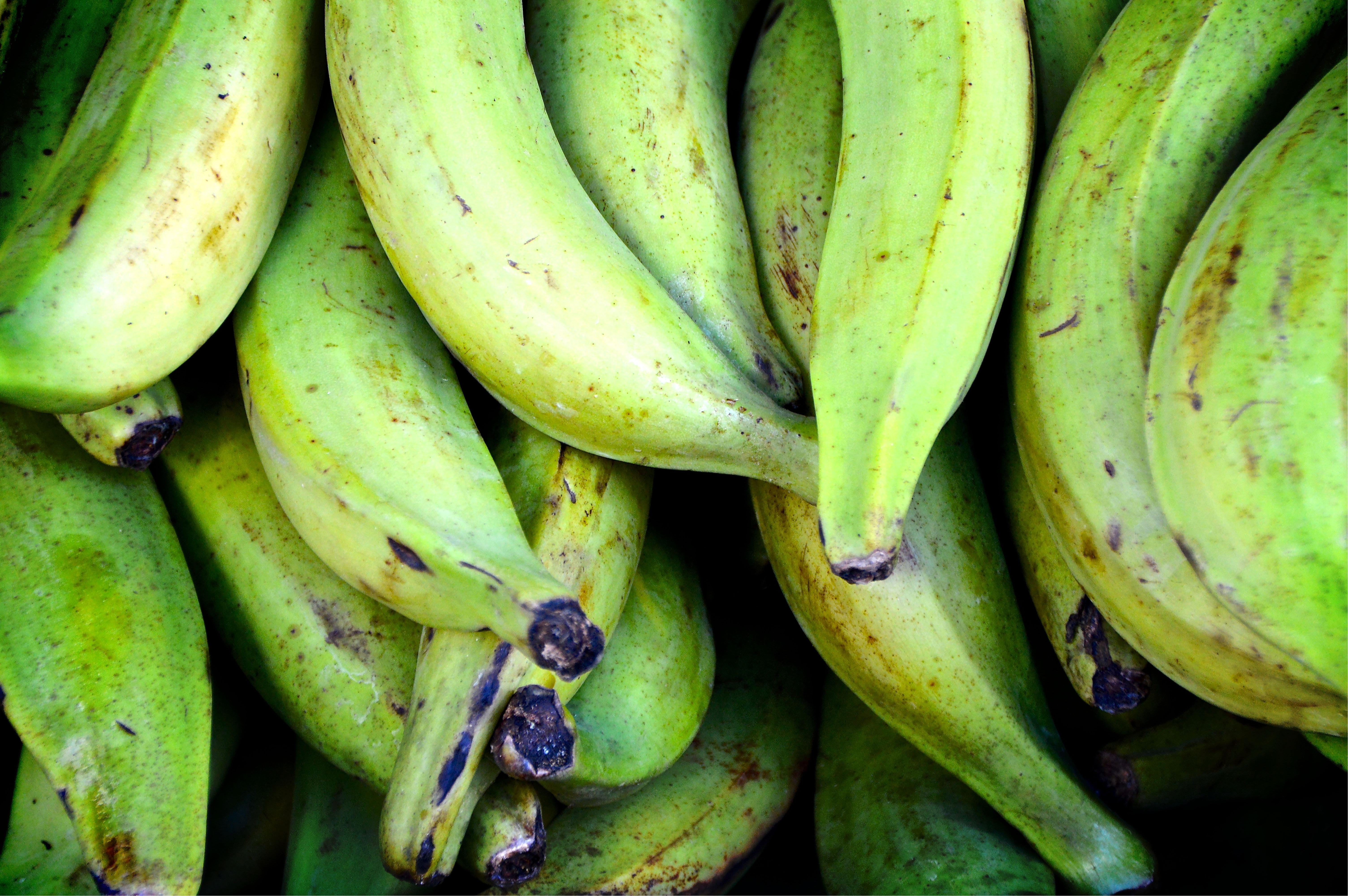 green banana fruit lot
