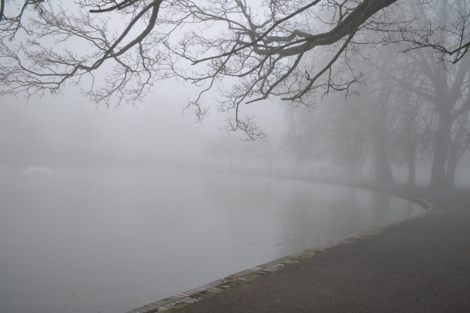 Park, Foggy, Lake, Pool, fog, nature preview
