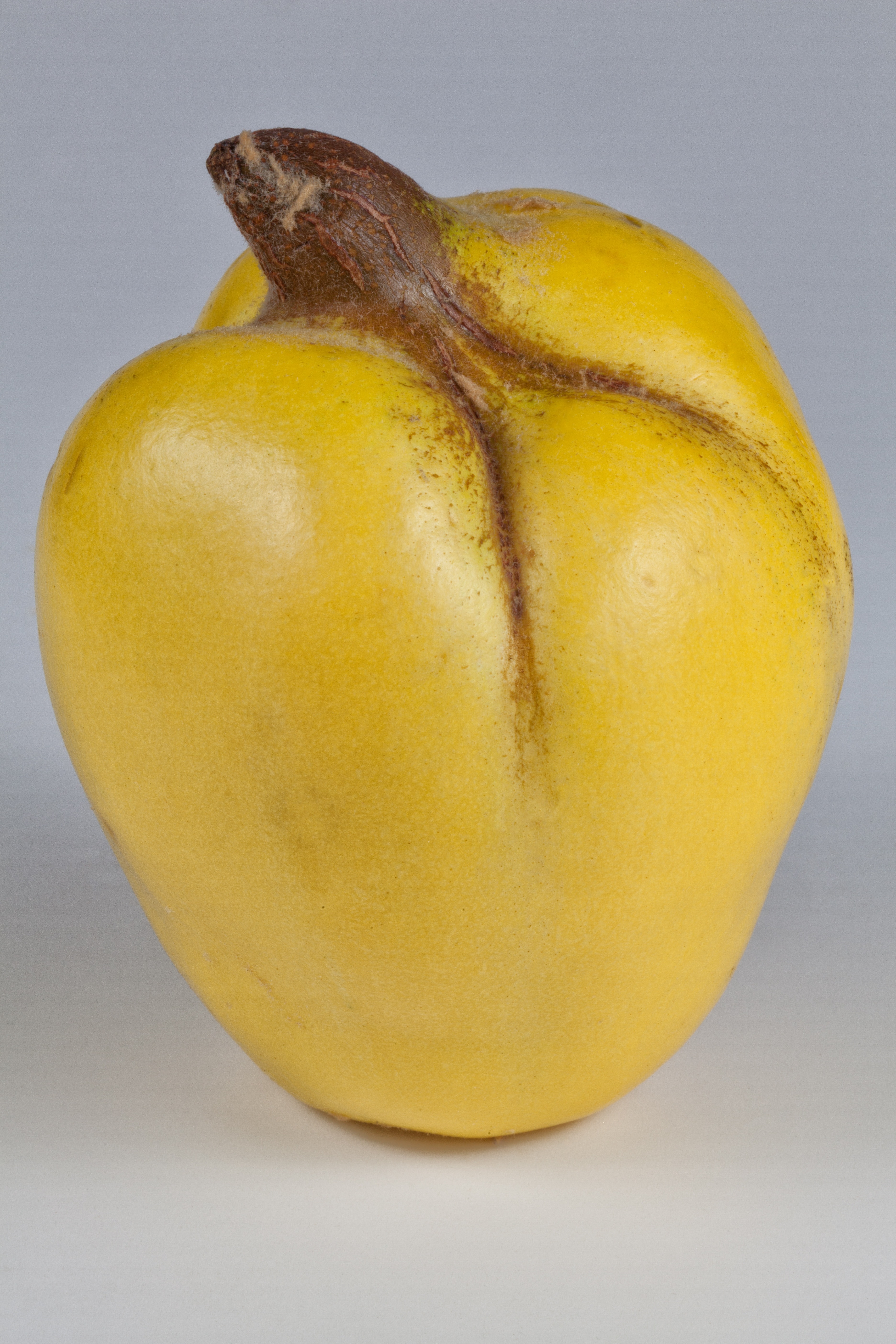 brown and yellow fruit