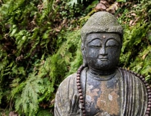 Buddhism, Japan, Buddha Statue, Buddha, statue, religion thumbnail