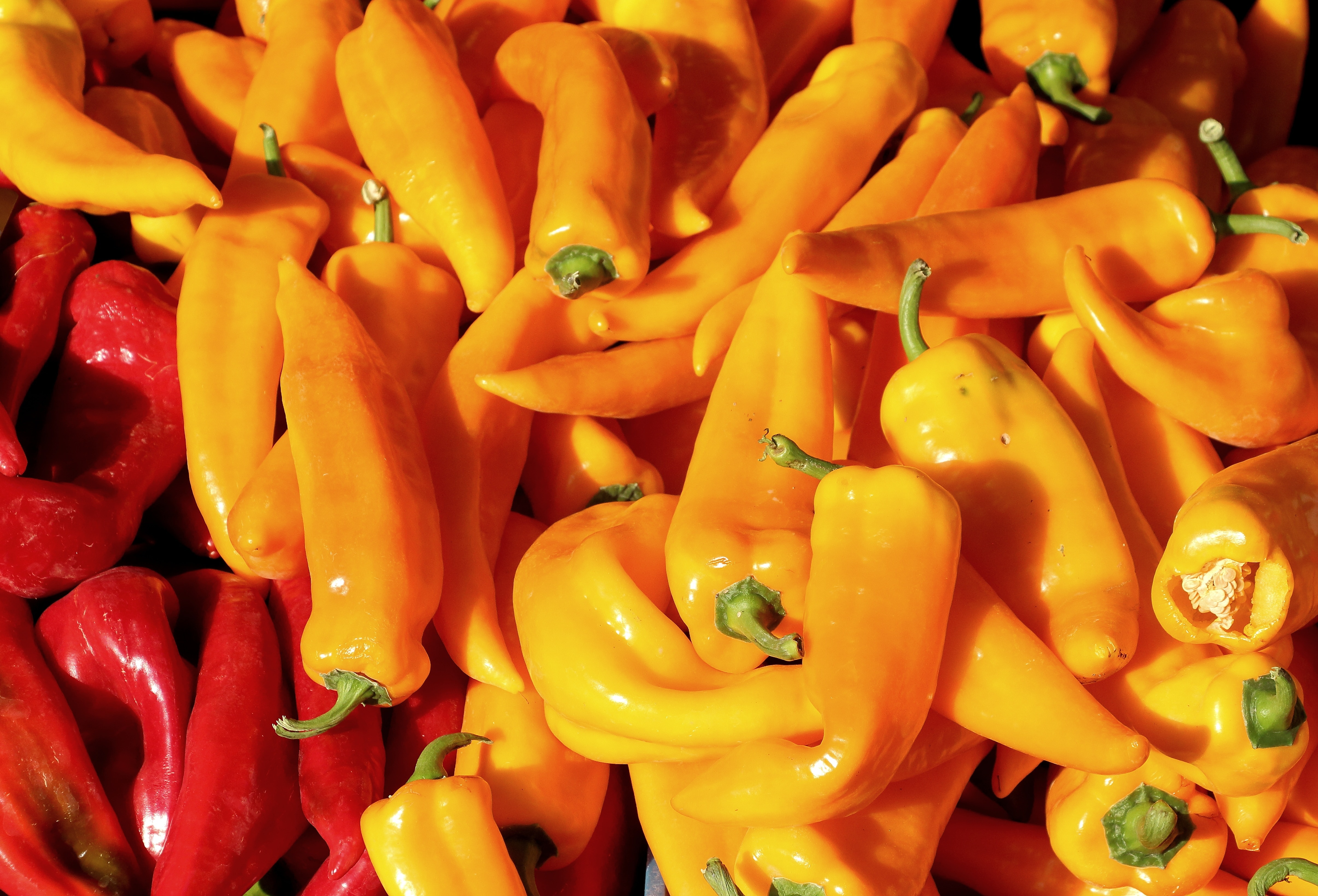 yellow and red chili peppers