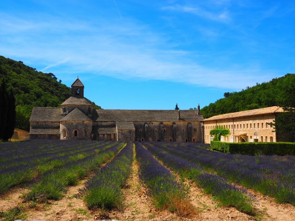 Abbey, Abbaye De Sénanque, Monastery, ,  preview