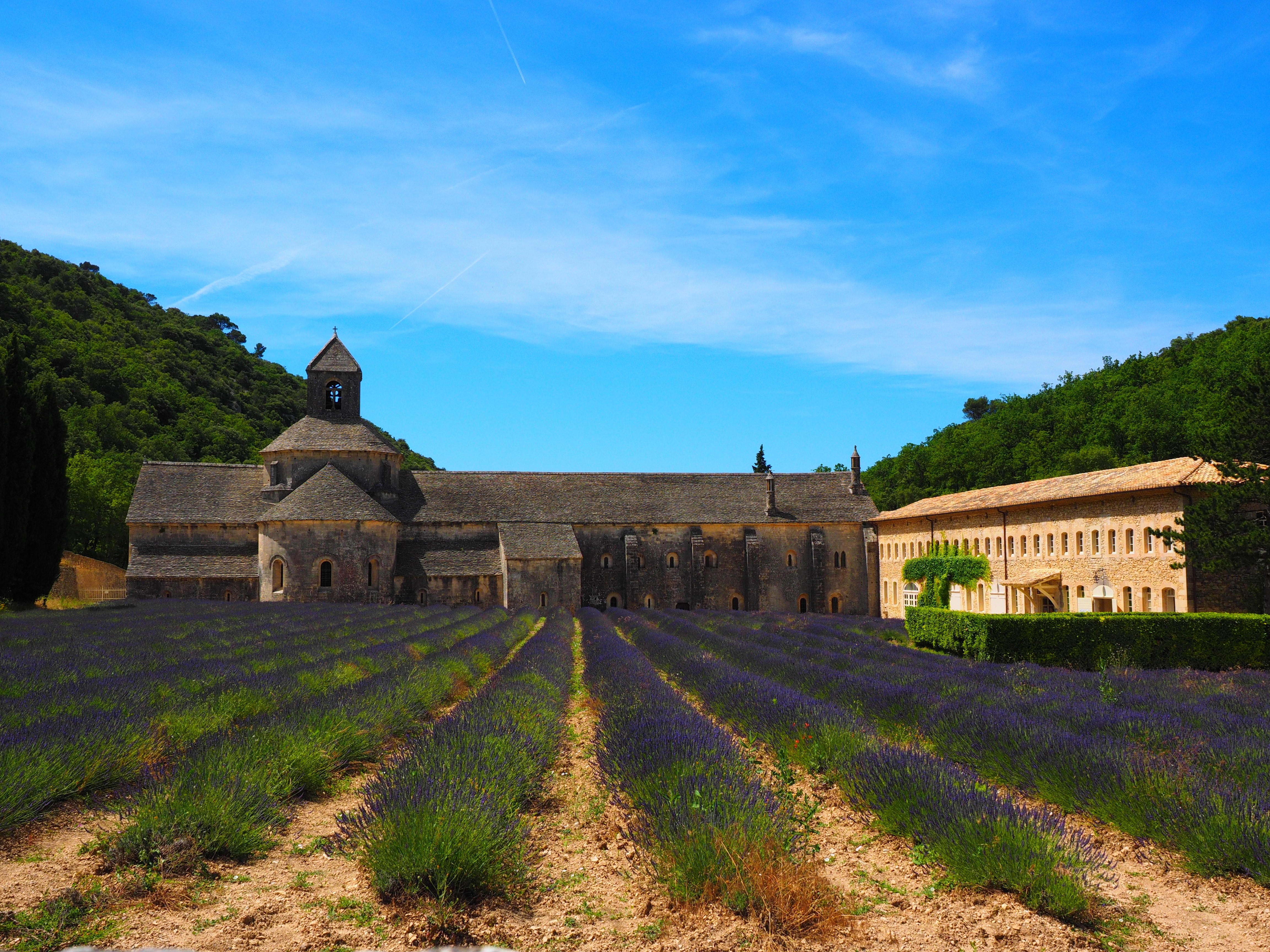 Abbey, Abbaye De Sénanque, Monastery, , 