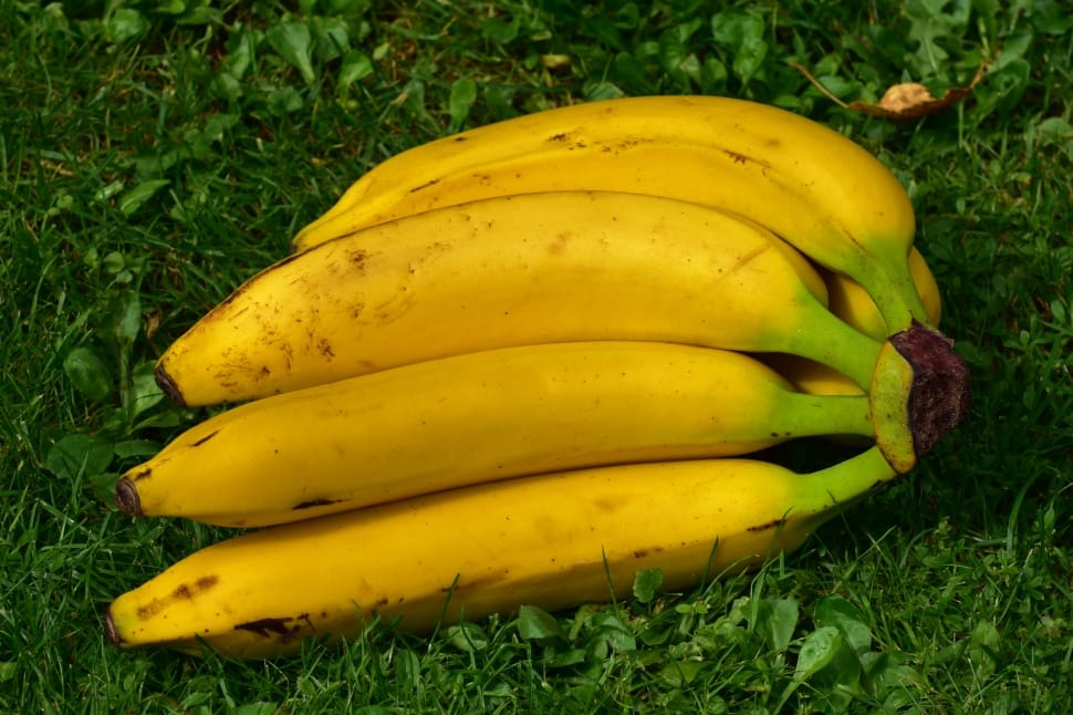 white and yellow bananas preview
