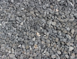 gray gravels thumbnail