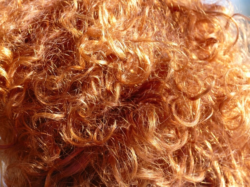 close-up photo of orange-coloured hair preview