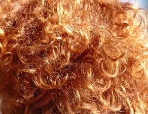 close-up photo of orange-coloured hair thumbnail