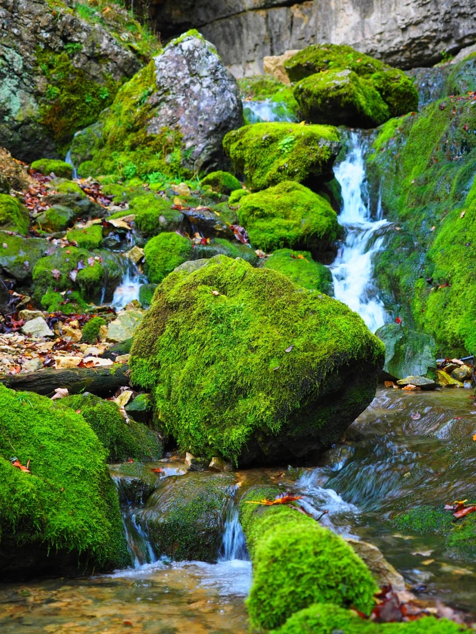 moss covered boulders near waterfalls during daytime preview
